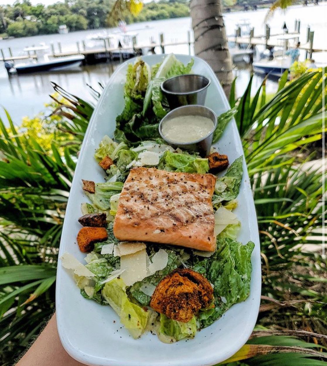salmon salad